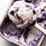 Blueberry Crumble Ice Cream