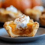 Mini Crescent Pumpkin Pies