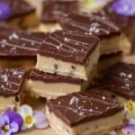 Healthy No-Bake Cookie Dough Bars Recipe
