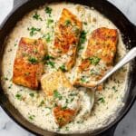 Boursin Salmon with Creamy Lemon Herb Sauce Recipe