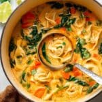 Thai Red Curry Potsticker Soup Recipe