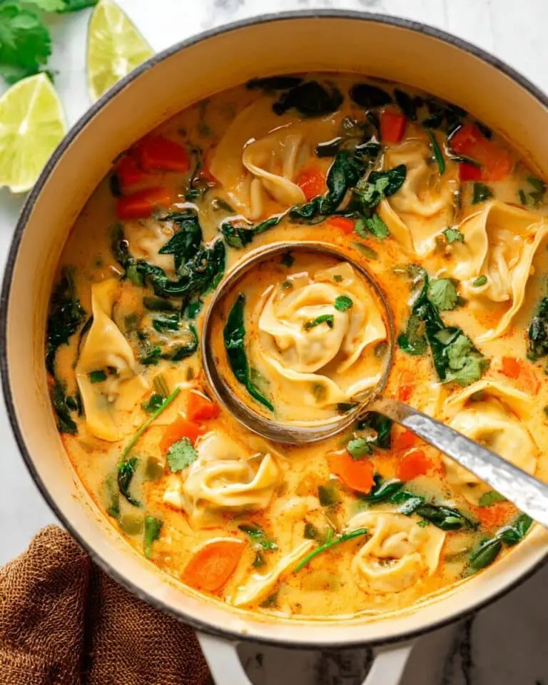 Thai Red Curry Potsticker Soup Recipe