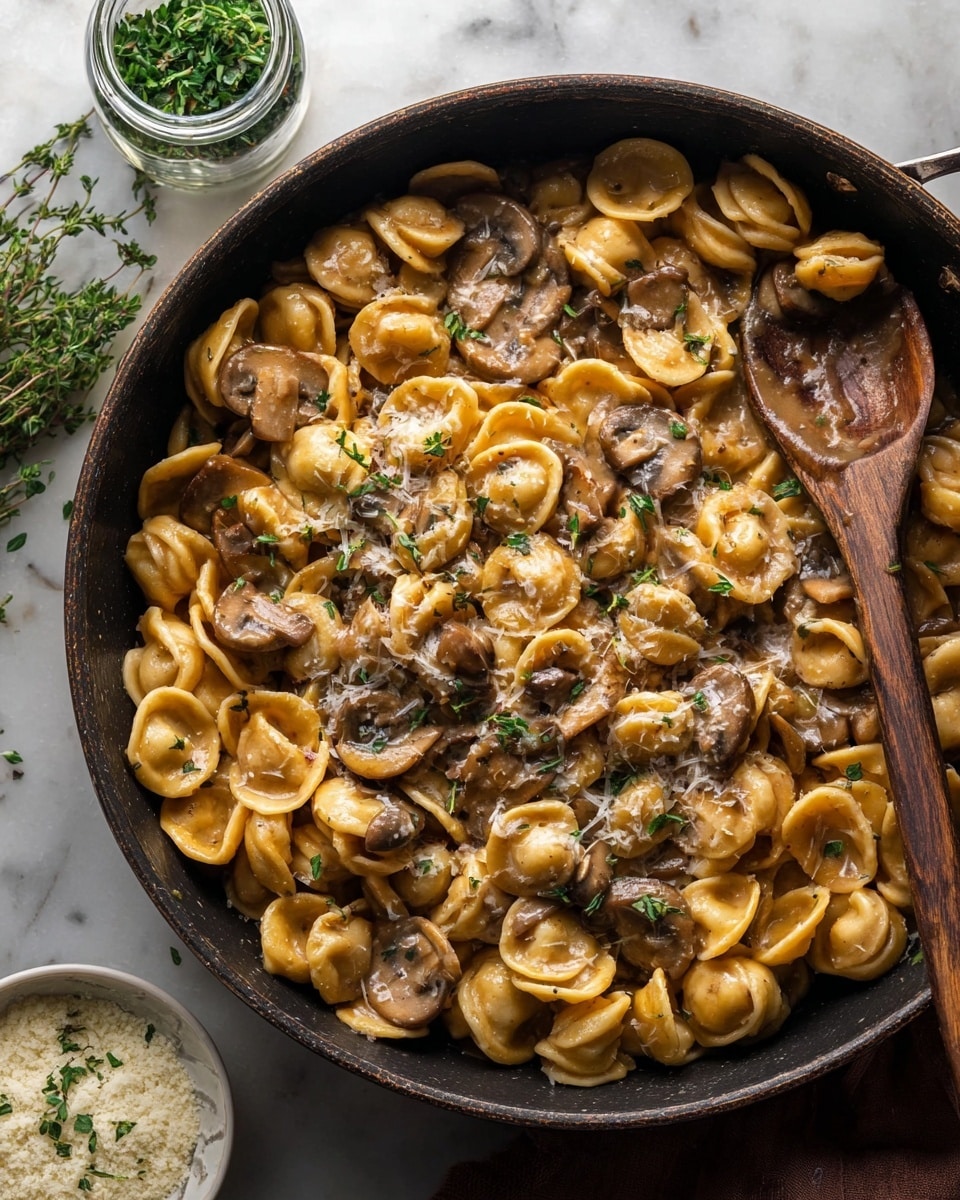 One Pot French Onion Pasta Recipe