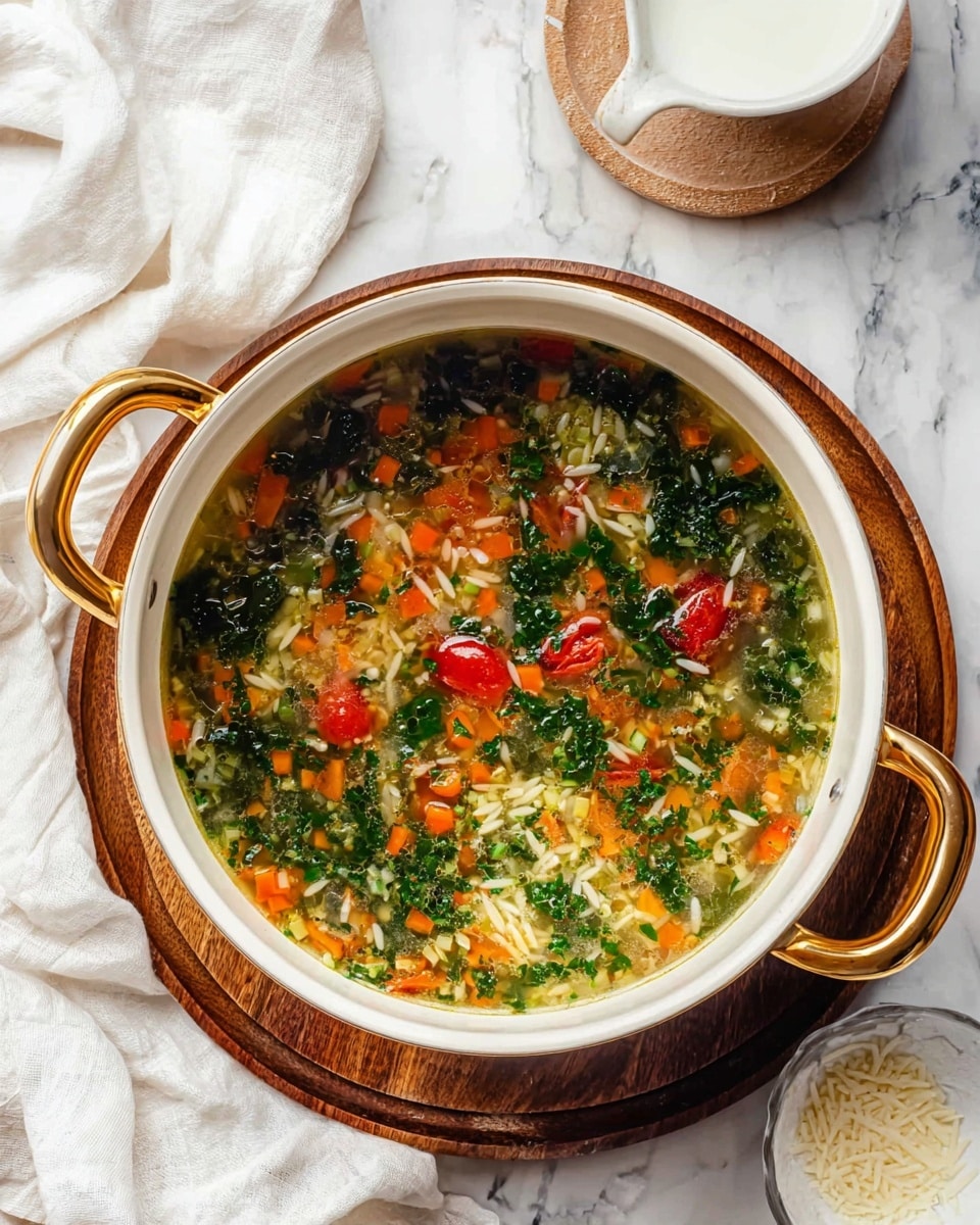 Mediterranean Orzo Soup Recipe