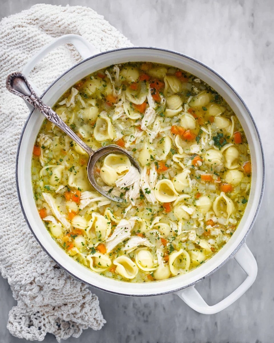 Rotisserie Chicken Tortellini Soup Recipe