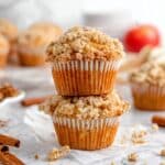 Apple Oatmeal Crumble Muffins Recipe