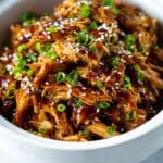 Slow Cooker Teriyaki Chicken Recipe
