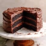 Best Matilda Chocolate Cake Recipe